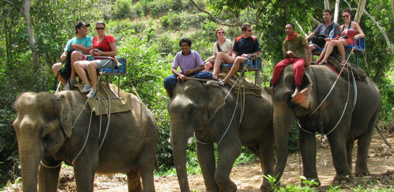 Siam Safari Elephant Trekking