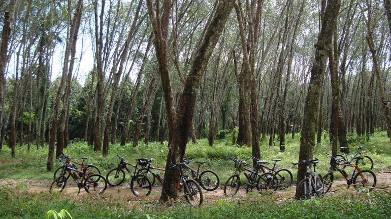 Cycling Tours Thailand