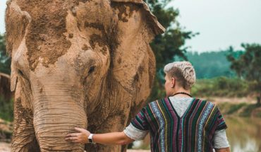 best ethical elephant sanctuaries in phuket